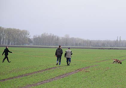2013